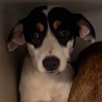 Thumbnail photo of Nana #2