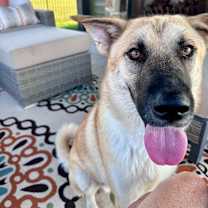 Thumbnail photo of Oliver #1