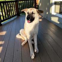 Thumbnail photo of Oliver #2