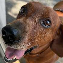 Thumbnail photo of Dorothy #2