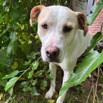 Thumbnail photo of Lulu #2