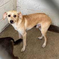 Thumbnail photo of Oakley #2