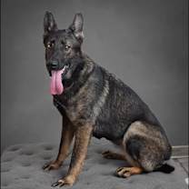 Thumbnail photo of Vida #1