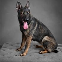 Thumbnail photo of Vida #2