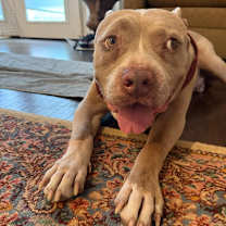 Thumbnail photo of Snuffy KF #1