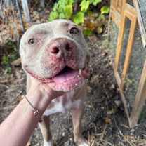 Thumbnail photo of Snuffy KF #2