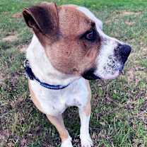 Thumbnail photo of Tank NM #3