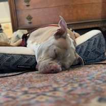 Thumbnail photo of Snuffy KF #3