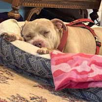 Thumbnail photo of Snuffy KF #4