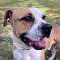 Thumbnail photo of Tank NM #2