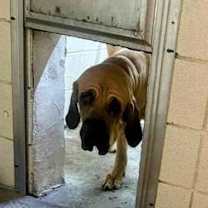 Thumbnail photo of Taarna #2