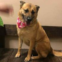 Thumbnail photo of Sophie #1