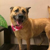 Thumbnail photo of Sophie #2