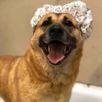 Thumbnail photo of Sophie #3