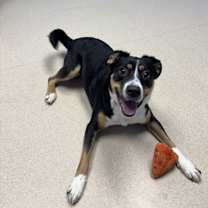 Thumbnail photo of Thumbelina #1