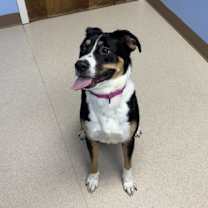 Thumbnail photo of Thumbelina #3