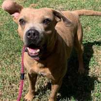 Thumbnail photo of Chong #3