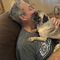 adopt-pet