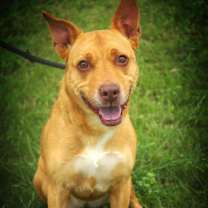 Thumbnail photo of Island Luna JuM #2