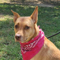 Thumbnail photo of Island Luna JuM #3