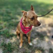 Thumbnail photo of Island Luna JuM #4