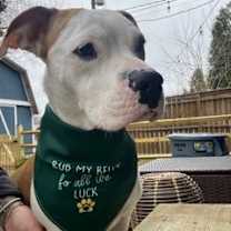 Thumbnail photo of Bitsy #1