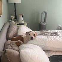 Thumbnail photo of Bitsy #3