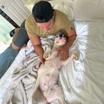 Thumbnail photo of Bitsy #4