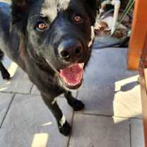 Thumbnail photo of Ella Mae #2