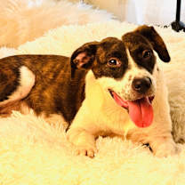 Thumbnail photo of Kari #2