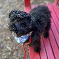 Thumbnail photo of Cole #4