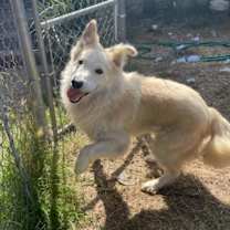 Thumbnail photo of Don Juan #1