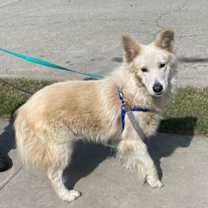 Thumbnail photo of Don Juan #2