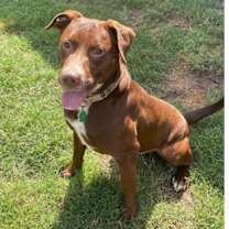 Thumbnail photo of JACKSON #1