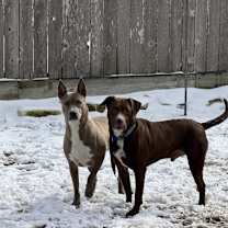 Thumbnail photo of JACKSON #3