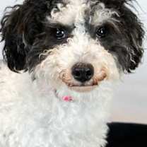 Thumbnail photo of Melanie #1