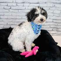 Thumbnail photo of Melanie #2