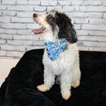 Thumbnail photo of Melanie #3