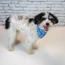 Thumbnail photo of Melanie #4