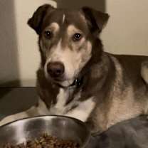 Thumbnail photo of Ruben JuM #3