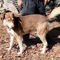 Thumbnail photo of Ruben JuM #4