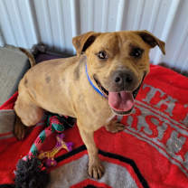 Thumbnail photo of Dreamy #1