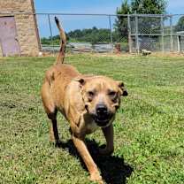 Thumbnail photo of Dreamy #2