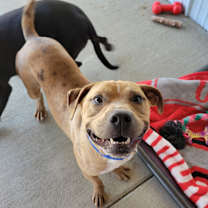 Thumbnail photo of Dreamy #3