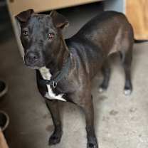 Thumbnail photo of Backpack #2