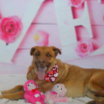 Thumbnail photo of Cole JR* #2