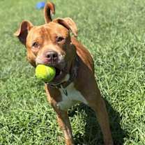 Thumbnail photo of 181016 Seven #2