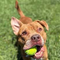 Thumbnail photo of 181016 Seven #4