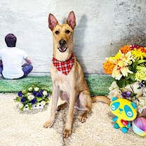 Thumbnail photo of WUGU #1