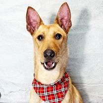 Thumbnail photo of WUGU #2